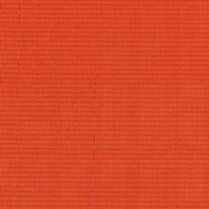 Meet your Posher, Kendall